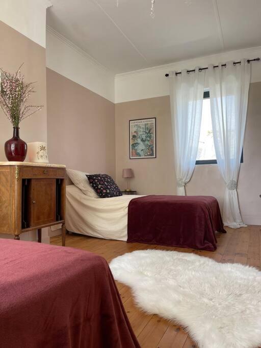 Villa Havre De Paix A Carteret ! Barneville-Carteret Esterno foto